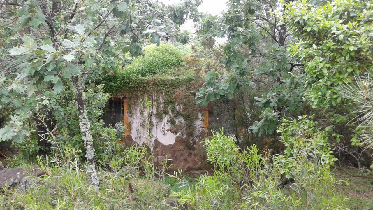 Apartamentos Rurales Ecopangea Valverde de la Vera Kültér fotó