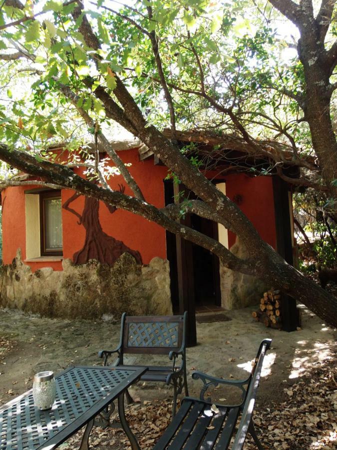 Apartamentos Rurales Ecopangea Valverde de la Vera Kültér fotó