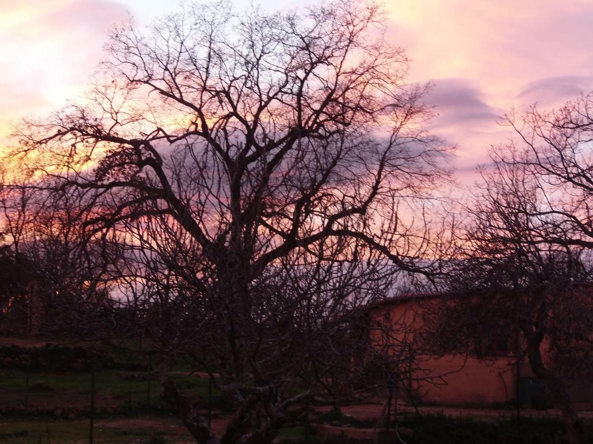 Apartamentos Rurales Ecopangea Valverde de la Vera Kültér fotó